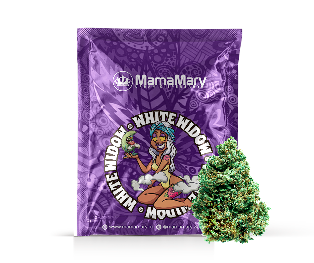 White Widow | CBD >25% ,THC < 0.2%,HHC 0% – Mamamary