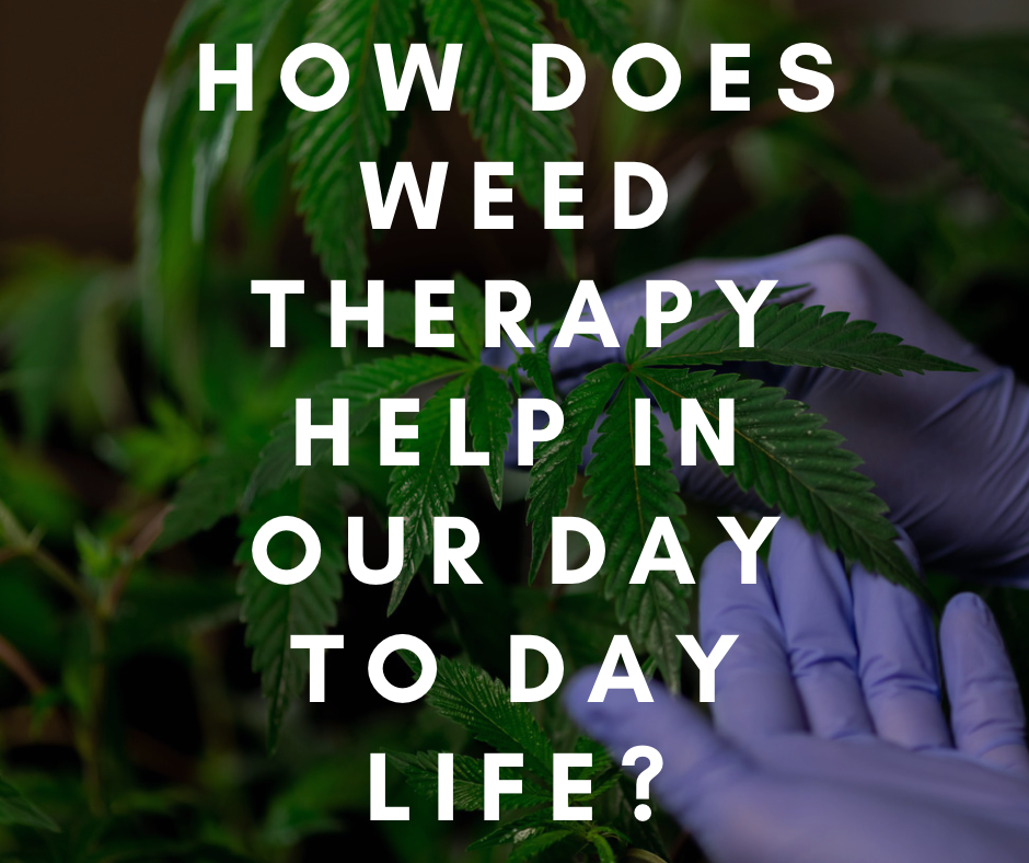How does Weed Therapy help in our day to day life?