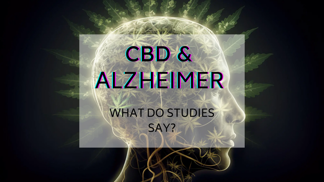 CBD in the treatment of Alzheimer's disease