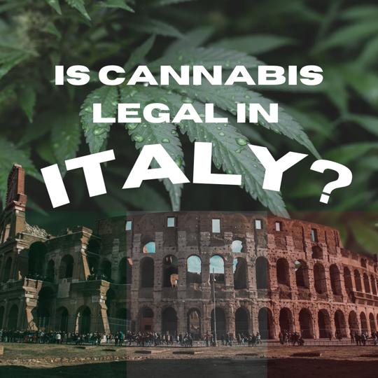 Where can I find Cannabis in Italy? And is cannabis legal in Italy?