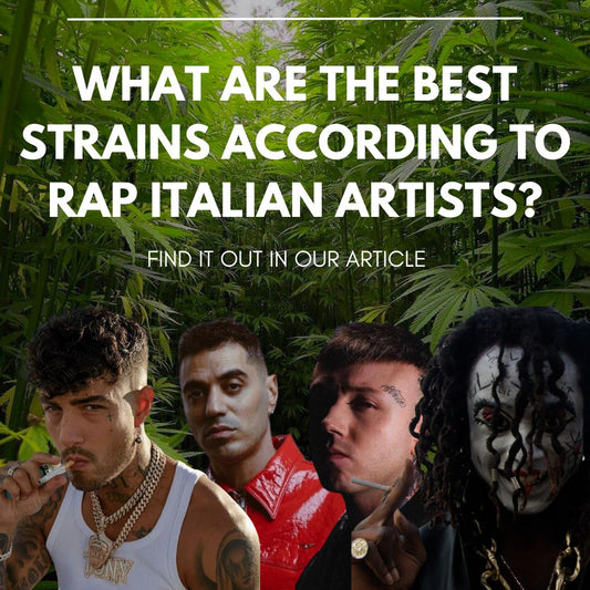 Tony Effe, Lazza, Marracash, Sfera Ebbasta, Jesse the Maestro and many others: which are the favorite strains of the best artists of the rap & trap italian scene?