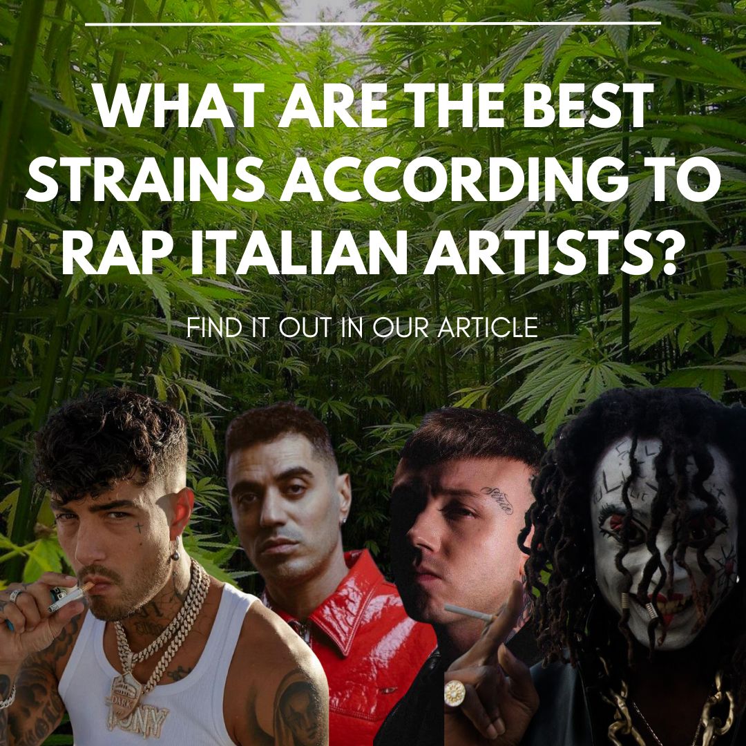 Tony Effe, Lazza, Marracash, Sfera Ebbasta, Jesse the Maestro and many others: which are the favorite strains of the best artists of the rap & trap italian scene?