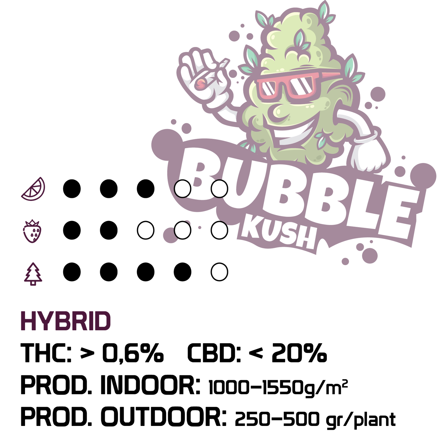 3 Semi da Collezione Bubble Kush CBD - mamamary
